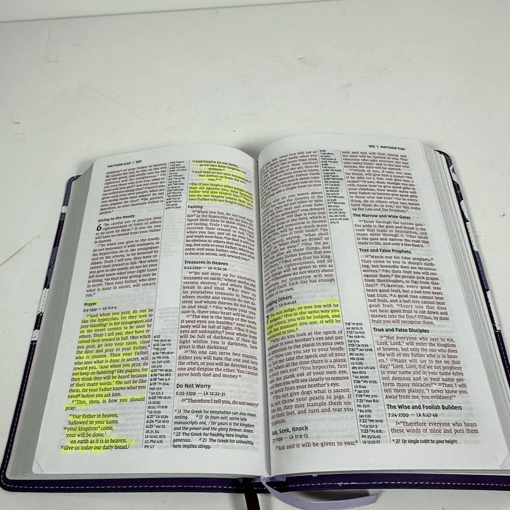 NIV Thinline Reference Bible Red Letter Edition [Purple] by Zondervan Leathersof